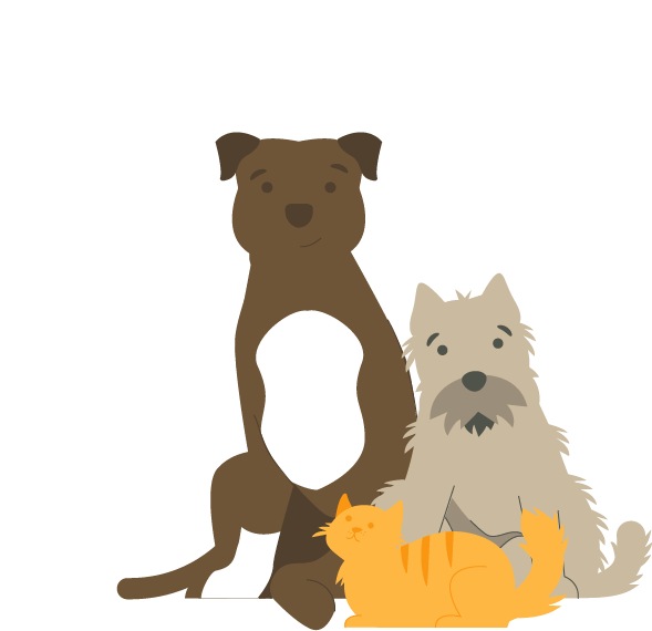 cartoon parasite prevention