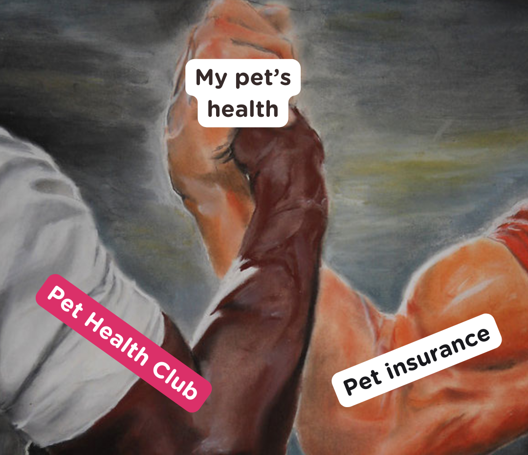 pet health club meme